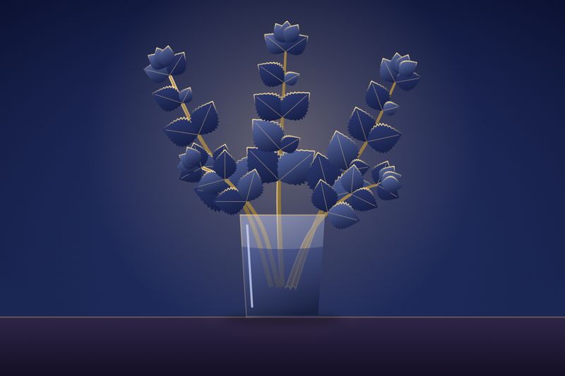 Sprigs of fresh mint in a glass of water, painted in midnight blue and lantern gold
